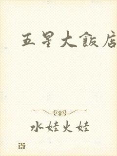 五星大饭店小说