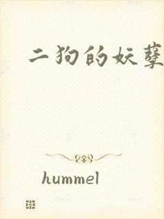 二狗的妖孽人生