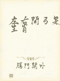 左右开弓是什么生肖