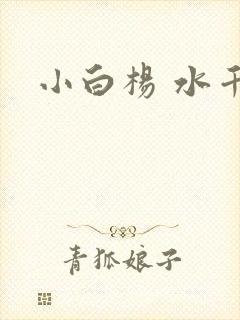 《小白杨 水千丞》小说封面