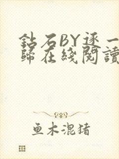 钻石BY逐一而归在线阅读