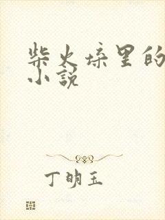 柴火垛里的疯狂小说