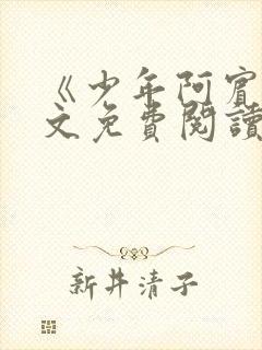 《少年阿宾》全文免费阅读