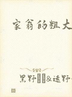 家翁的粗大封面