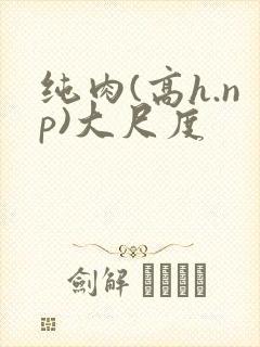 纯肉(高h.np)大尺度封面