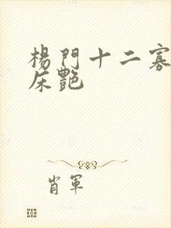 杨门十二寡妇肉床艳