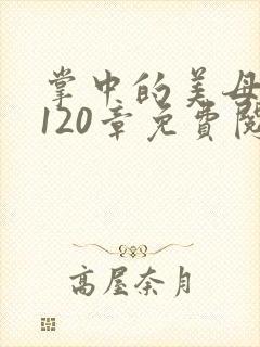 掌中的美母版主120章免费阅读