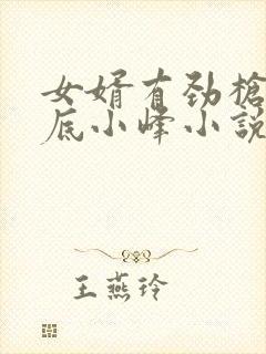 女婿有劲枪枪到底小峰小说封面