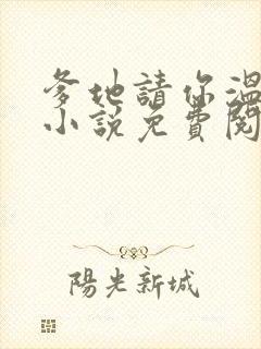 爹地请你温柔点小说免费阅读封面