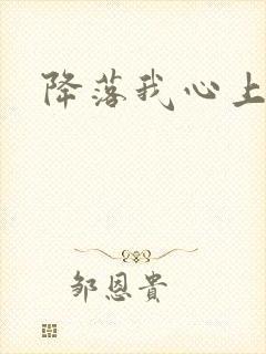 降落我心上封面