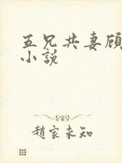 五兄共妻顾心儿小说