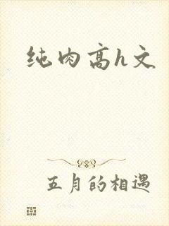 纯肉高h文