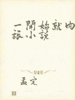 一开始就肉的军旅小说封面