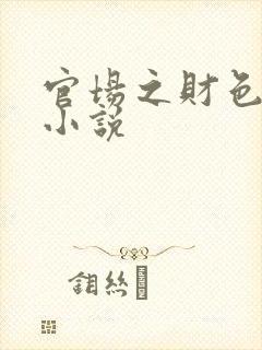 官场之财色诱人小说