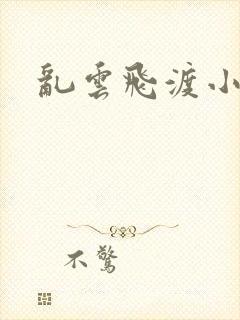 乱云飞渡小说