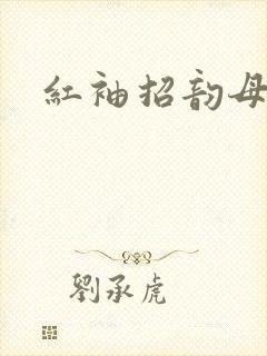 红袖招韵母攻略