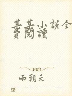 某某小说全文免费阅读