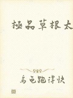 极品草根太子