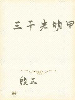 三千光明甲