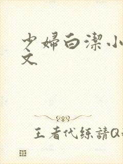 少妇白洁小说全文