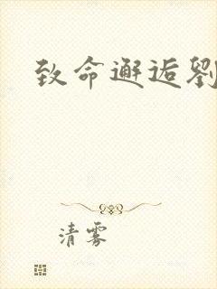 致命邂逅刘小寐