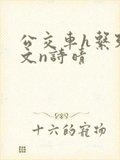 公交车h系列辣文n诗晴