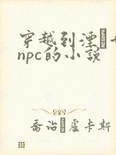 穿越到湮婸世界npc的小说