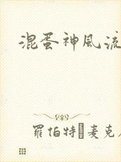 混蛋神风流