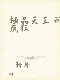 极品天王 我本疯狂