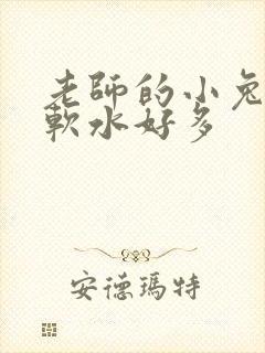 老师的小兔子好软水好多