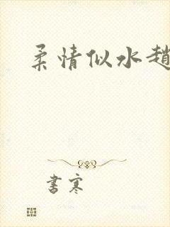 柔情似水赵雅儿