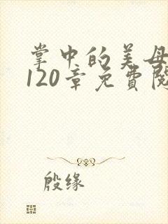 掌中的美母版主120章免费阅读