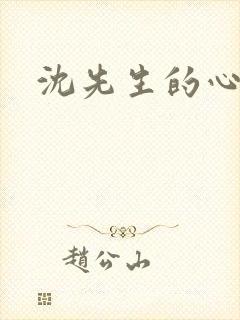 沈先生的心头宝