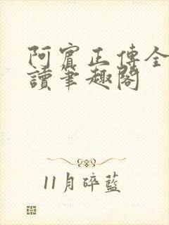 阿宾正传全文阅读笔趣阁