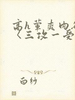 高h荤爽肉欲文〈三攻一受