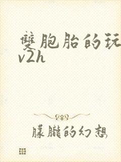 双胞胎的玩具1v2h