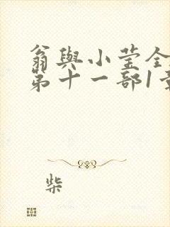 翁与小莹全目录第十一部1章