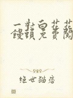 一对白花花的大馒头免费阅读