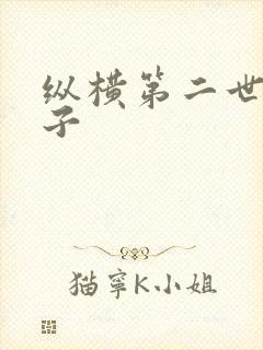 纵横第二世界宽子