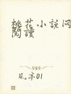 桃花小说网小说阅读