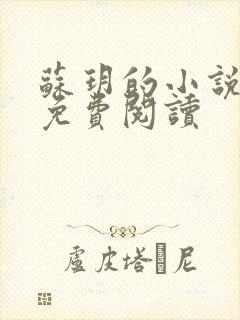 苏玥的小说全文免费阅读