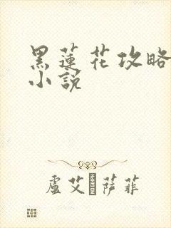 黑莲花攻略手册小说