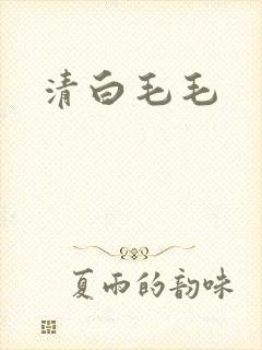 清白毛毛