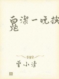 白洁一晚挨十二炮封面