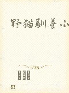 野猫驯养小说