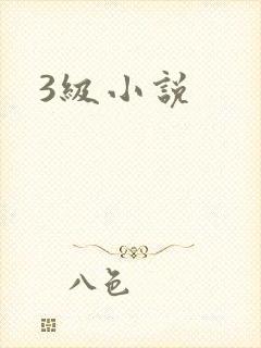 3级小说