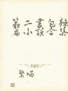 第二书包辣网短篇小说合集