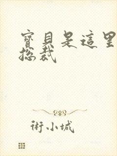 宝贝是这里对吗总裁