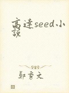 高达seed小说
