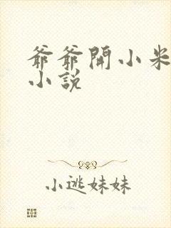 爷爷开小米的包小说